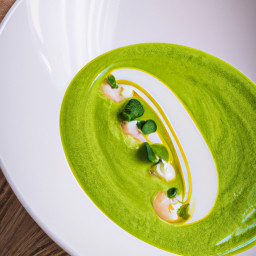 Appetizer: United States – Spring Pea Velouté with Fennel and Mint recipe