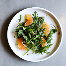 Gremolata-Kissed Arugula, Fennel & Citrus Salad recipe